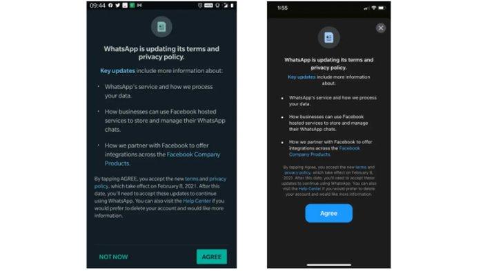 Whatsapp Mulai Kenalkan Kebijakan Privasi Baru Bagi Pengguna Tiktak Id