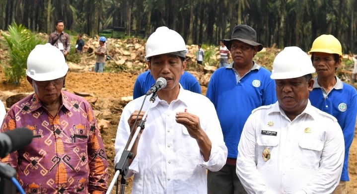 Tegaskan Pemindahan IKN Akan Tetap Berlanjut, Jokowi: Gagasan Sejak ...